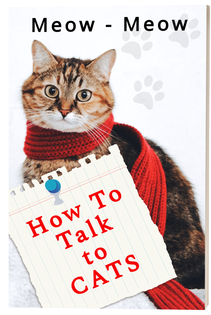 How To Talk To CATS